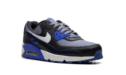 Air Max 90 Gore-Tex "Cool Grey Anthracite Obsidian Pure Platinum" FD5810 003